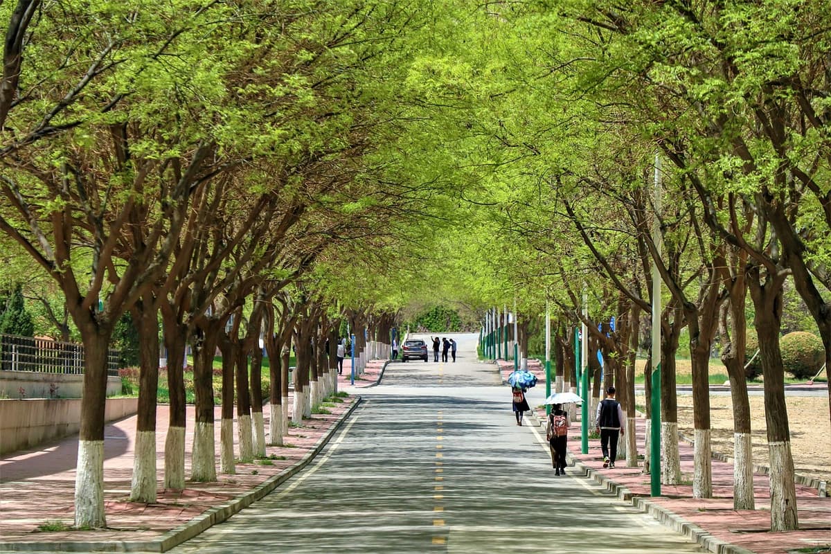 SBA Campus